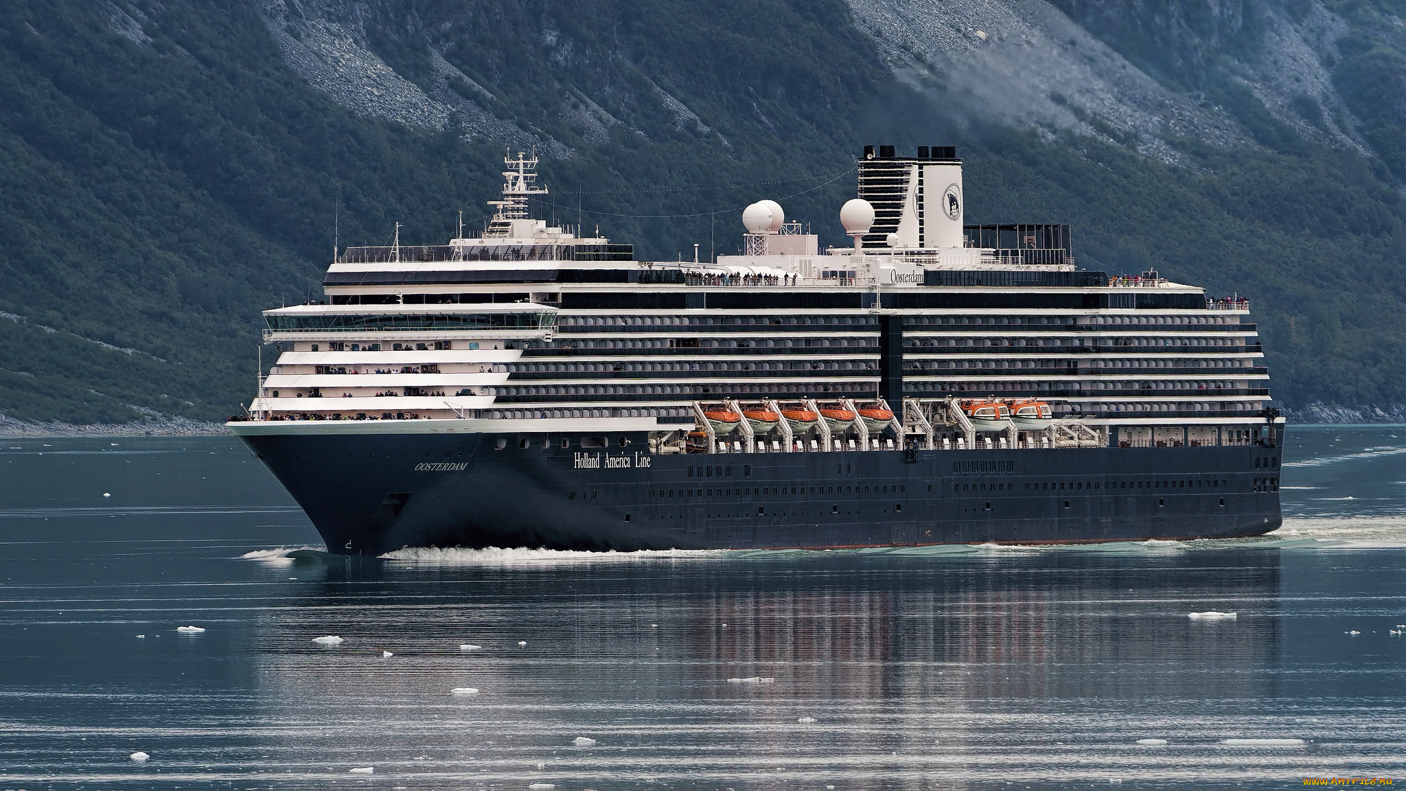 holland america oosterdam, , , , 